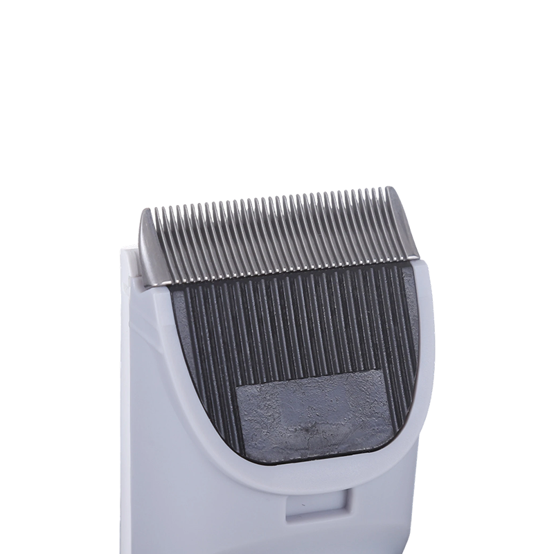 بند سگ اتوماتیک سفارشی بند سگ اتوماتیک سفارشی